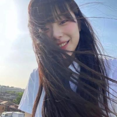 狗也爱钻石